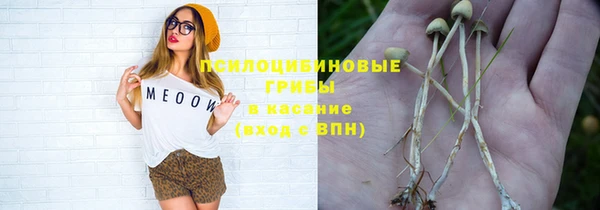 крисы Абинск