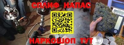 шишки Гусиноозёрск