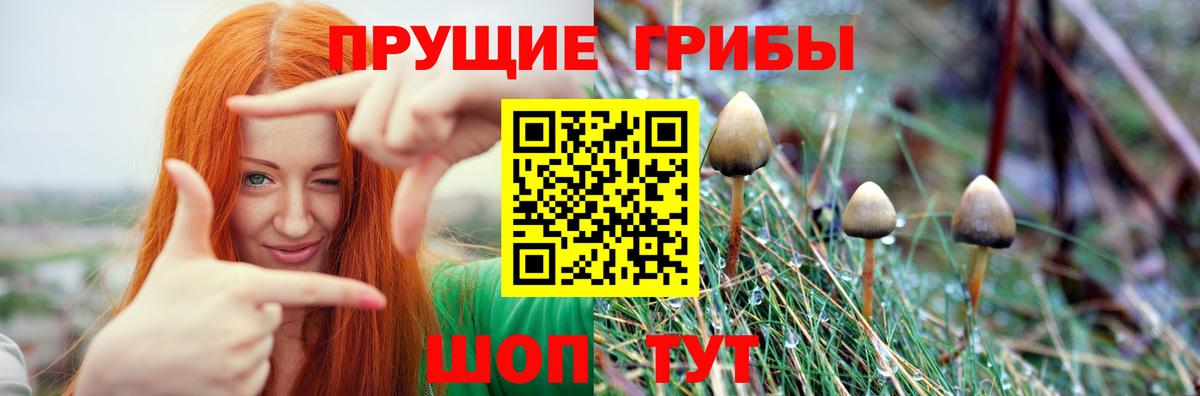 Псилоцибиновые грибы Psilocybine cubensis  Вход с VPN  Галлюциногенные грибы Psilocybe  Нефтеюганск 