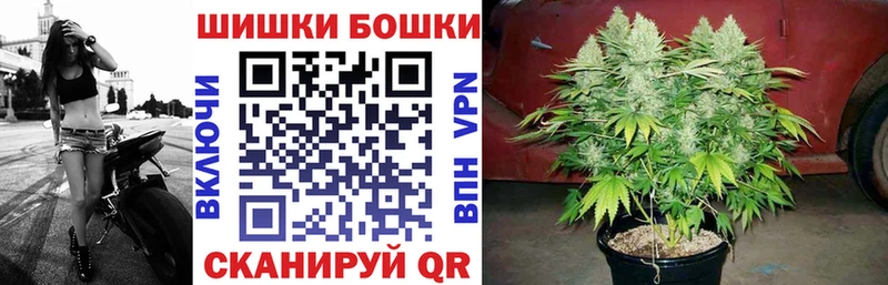 Конопля сатива  наркотики  Нефтеюганск 